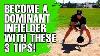 3 Simple Tips To Become A Dominant Infielder Baseball Fielding Tips