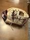All-star Pro-elite 11.5 Fgas-1150i Cream Baseball Glove Right Hand Thrower