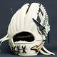 Mizuno Pro Baseball Hard Glove Haga Japan Infield Custom Order Made In Japan