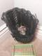 Nike Diamond Elite 11.75 Infield Baseball Glove, Mlb Aaa All-star Game 2009