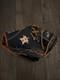 Rawlings Heart Of The Hide Mlb Baseball Glove Houston Astros Blue 11.5 Rht