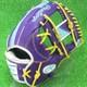 Rawlings Japan Baseball Glove Infield Infilder Hoh Pro Excel Wizards#2 11.25 Rht