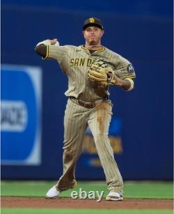 Select PRO LITE Infield Baseball Glove 11.5