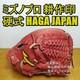 Gant De Baseball Mizuno Pro Haga Japon Infield En Cuir Dur 9 Adulte D'occasion
